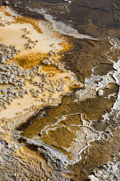 heiße Pools im Yellowstone Nationalpark in Wyoming - Foto, Bild