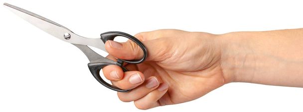 the hand of a Barber holding a scissors  isolated on white background  - Photo, Image