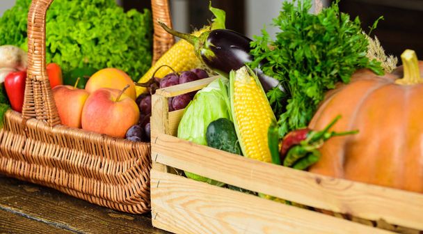 Fall harvest concept. Vegetables from garden or farm close up. Autumn harvest organic crops pumpkin corn vegetables. Homegrown vegetables. Fresh organic vegetables in wicker basket and wooden box - Фото, зображення