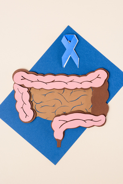 top view of prostate cancer awareness blue ribbon and human large intestine on blue with beige - Foto, immagini