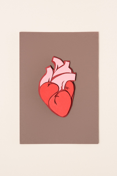 vista desde arriba del corazón humano anatómico sobre marrón con beige
   - Foto, Imagen
