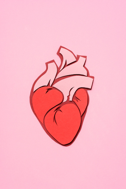 αυξημένη προβολή ανατομική ανθρώπινη καρδιά σε ροζ  - Φωτογραφία, εικόνα