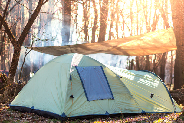 Tent in forest - Photo, Image