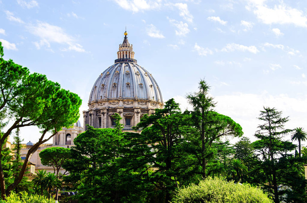 Купол собора Святого Петра, видимый сквозь зеленые деревья. Ватикан
 - Фото, изображение