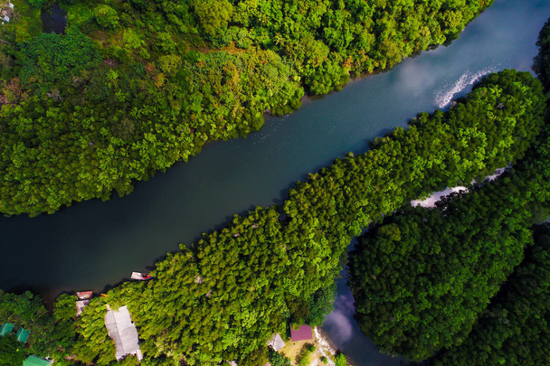 Rio em manguezal tropical verde árvore floresta vista aérea
 - Foto, Imagem