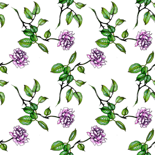 Watercolor purple roses and leaves seamless pattern - Фото, изображение