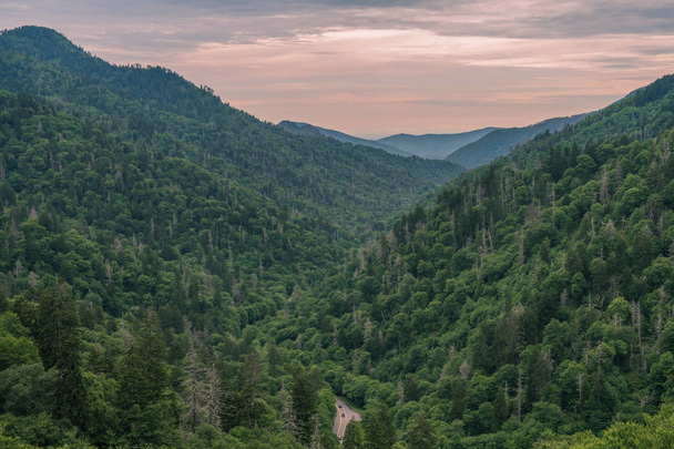 Great Smoky Mountains kansallispuisto, Pohjois-Carolina, USA - kesäkuu 19, 2018: Sunrise Landscape Great Smoky Mountains kansallispuisto Gatlinburg TN ja Oconaluftee Valley Cherokee NC
 - Valokuva, kuva