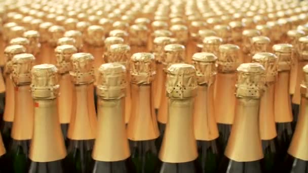 Láhve šampaňského na tovární dopravní pás - Záběry, video