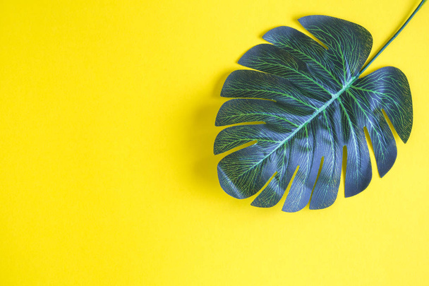 Tropical palm leave on yellow background. Space for copy. - 写真・画像