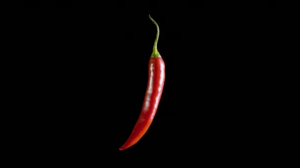 Red hot isolated pepper rotates in the black studio - Filmati, video