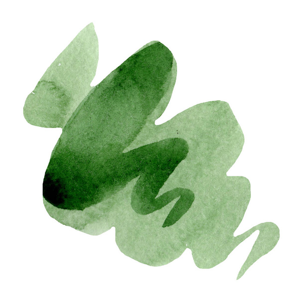 Watercolor green texture illustration. Isolated illustration element. - Фото, зображення