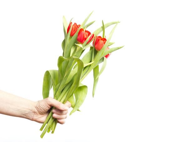 ręka z grono tulipany - Zdjęcie, obraz