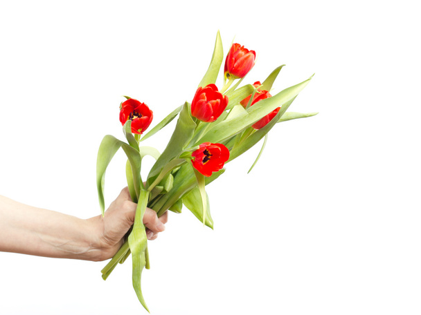 Hand with bunch of tulips - Valokuva, kuva