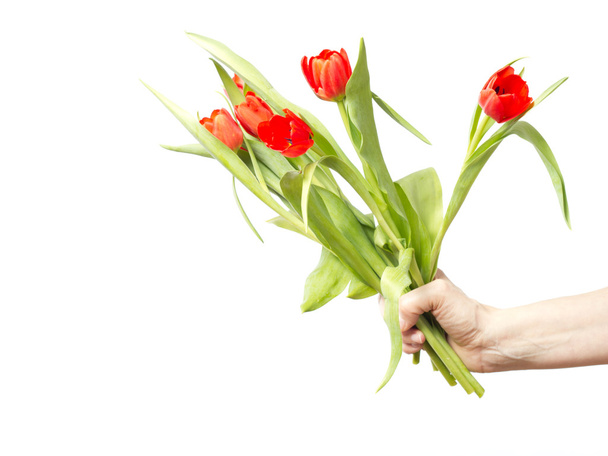 Hand with bunch of tulips - Fotoğraf, Görsel