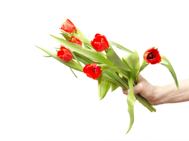 Hand with bunch of tulips - Fotoğraf, Görsel