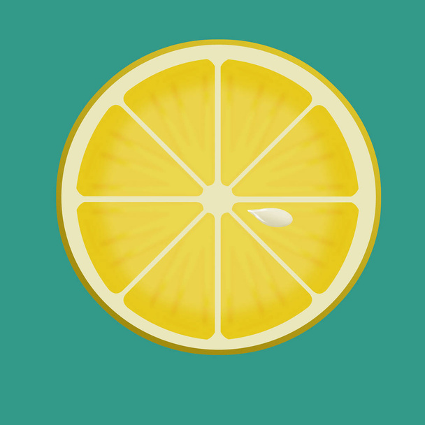 Here is an illustration showing citrus fruit slices isolated on a blue background. - 写真・画像