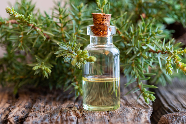 Бутылка эфирного масла со свежими можжевеловыми ветвями
 - Фото, изображение
