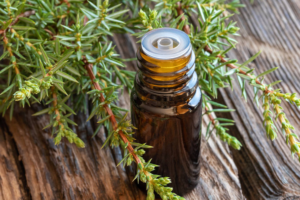 Una botella de aceite esencial con ramas frescas de enebro
 - Foto, imagen