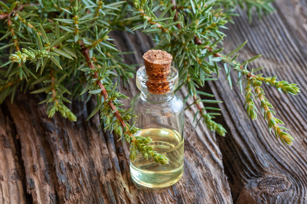 Uma garrafa de óleo essencial com galhos de zimbro frescos - Foto, Imagem