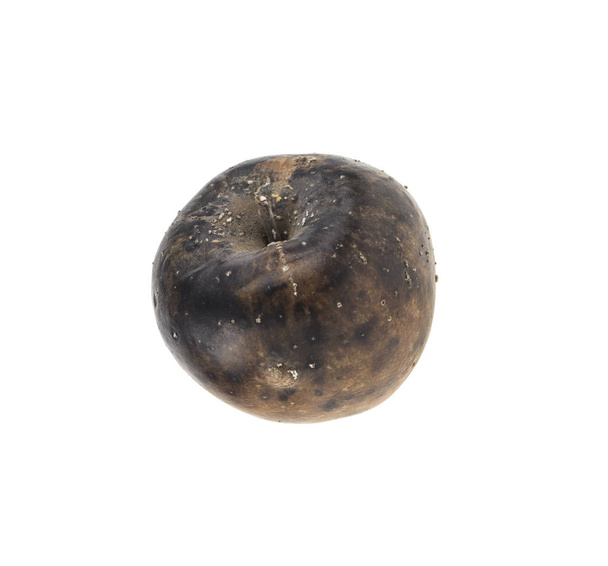 rotten apple isolated on white background - Photo, Image