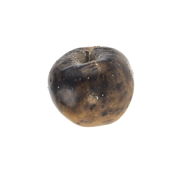 σάπιο μήλο απομονωμένο σε λευκό φόντο - Φωτογραφία, εικόνα
