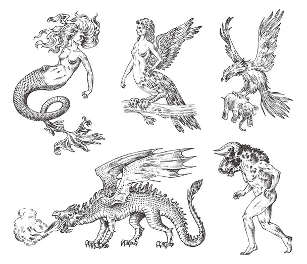 Mitológiai állatok csoportja. Sellő Minotaurusz kínai sárkány hárpia Griffin mitikus Baziliszkusz Roc nő madár. Görög lények. Vésett kézzel rajzolt antik régi vintage vázlat. - Vektor, kép