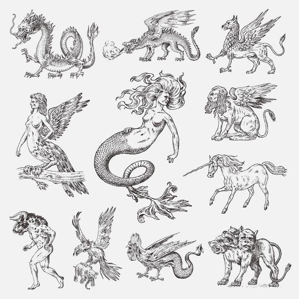 Set of Mythological animals. Mermaid Minotaur Unicorn Chinese dragon Cerberus Harpy Sphinx Griffin Mythical Basilisk Roc Woman Bird. Greek creatures. Engraved hand drawn antique old vintage sketch. - Vector, Image