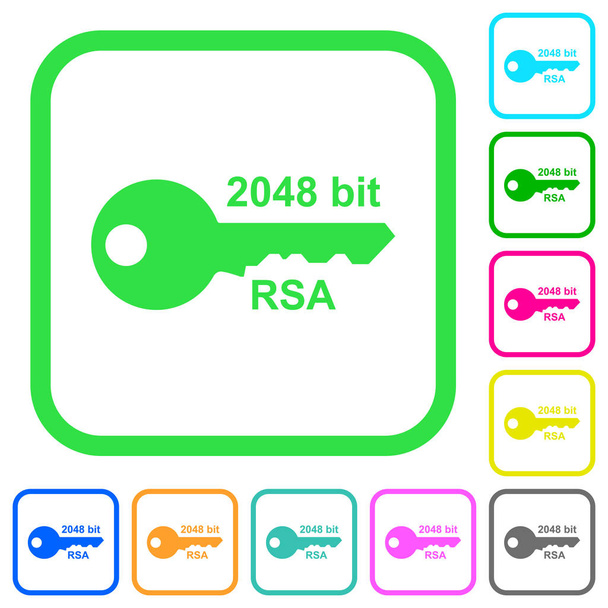 2048 bit rsa encryptie levendig gekleurde plat pictogrammen in de gebogen randen op witte achtergrond - Vector, afbeelding