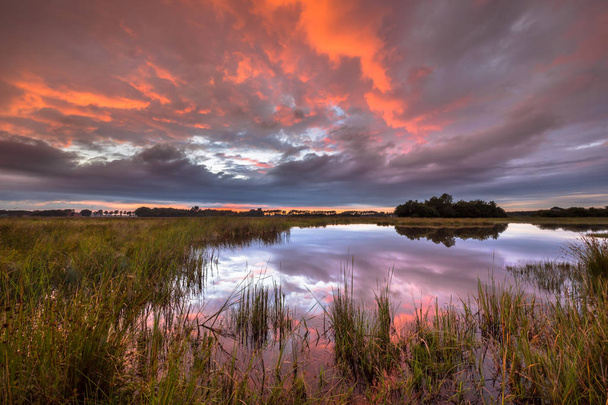 Bataklık Westerwolde doğa rezerv Hollanda doğal peyzaj üzerinde güzel gün batımı - Fotoğraf, Görsel