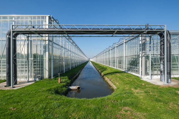 Invernaderos comerciales de vidrio en Westland. Westland es una región de los Países Bajos. Se encuentra en la parte occidental del país. Producción industrial de alta tecnología de hortalizas y flores
. - Foto, imagen
