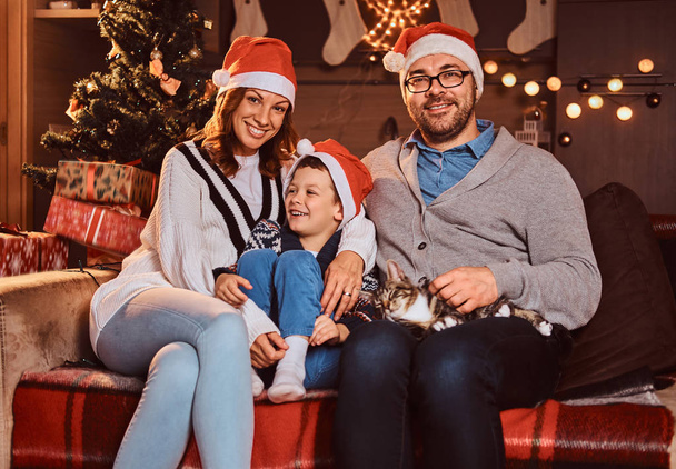 Adorable family in hats with their cat sitting together on sofa in decorated room during Christmas time. - Photo, Image
