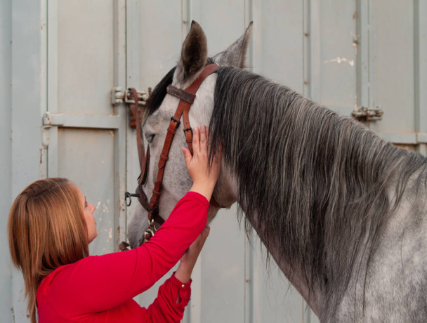 金髪の若い女性の農場で馬をなでる - 写真・画像