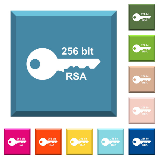 256 bit di crittografia RSA icone bianche su pulsanti quadrati bordati in vari colori alla moda
 - Vettoriali, immagini