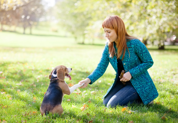 Girl playing with her dog in autumn park - Φωτογραφία, εικόνα
