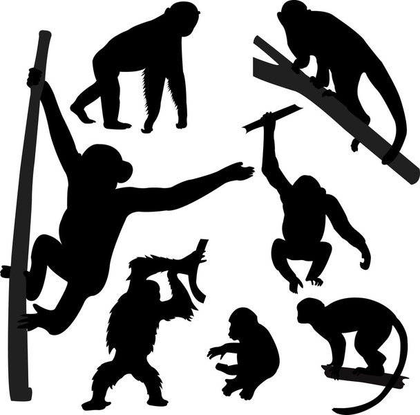 Monkey silhouettes - Vector, Image