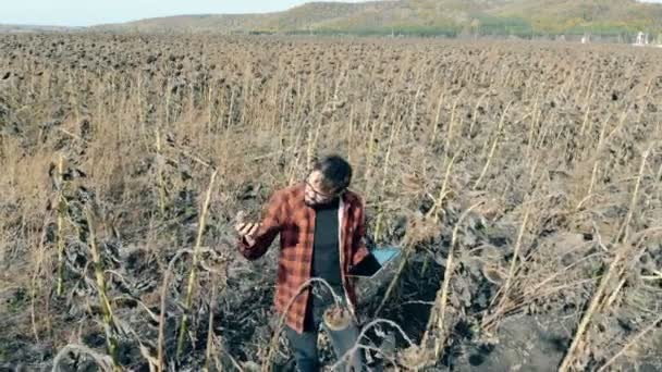 Farmer stands on a field with dead plants. Damaged crop concept. - Materiał filmowy, wideo