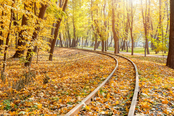 Railway curves going through beautiful orange forest. Warm fall travel background. seasonal travel concept - Фото, изображение