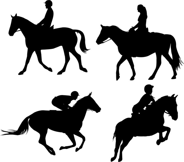 Horses and equestrians - Vector, Image