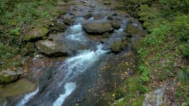 Górski potok w jesieni, antenowe drone blisko strzał, Las z mały potok, koryto z góry - Materiał filmowy, wideo