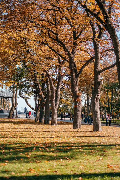 Public park in fall - Zdjęcie, obraz