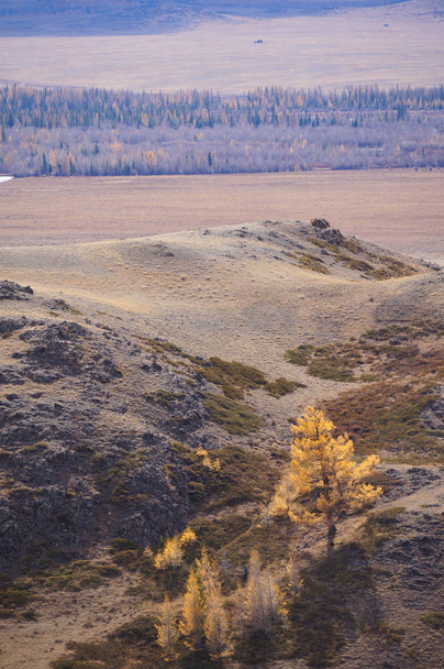 Hermosa vista del valle del Kurai en otoño, Altai, Rusia
. - Foto, Imagen