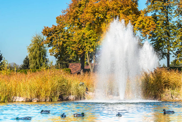 Fontein op het meer in het landschapspark Mezhigirya bij Kiev, Oekraïne. - Foto, afbeelding