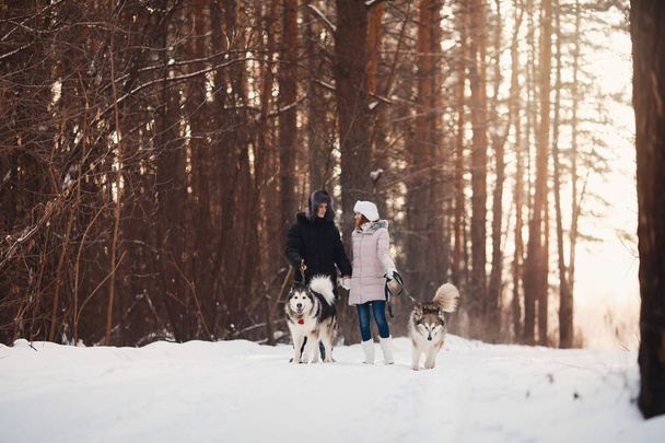 Walking with dog in winter - Фото, изображение