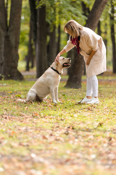 Beautiful young woman walks with her retriever in the park in autumn. Sit together. - Zdjęcie, obraz