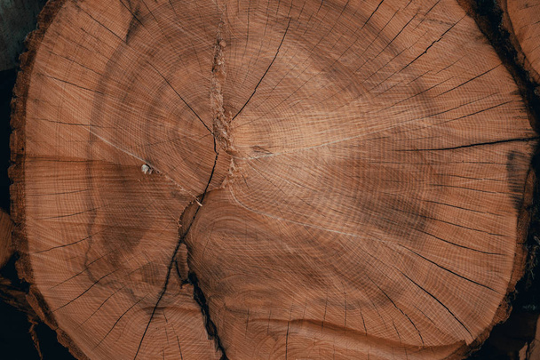 Деревянные натуральные пиломатериалы в лесу
 - Фото, изображение