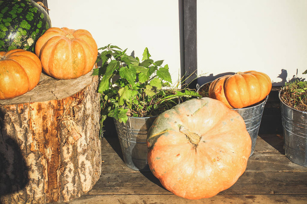 En la víspera de Halloween, las calabazas cerca de la casa están decoradas con calabazas
 - Foto, Imagen