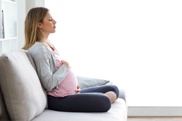 Shot of beautiful pregnant woman relaxing on the sofa at home - Photo, Image