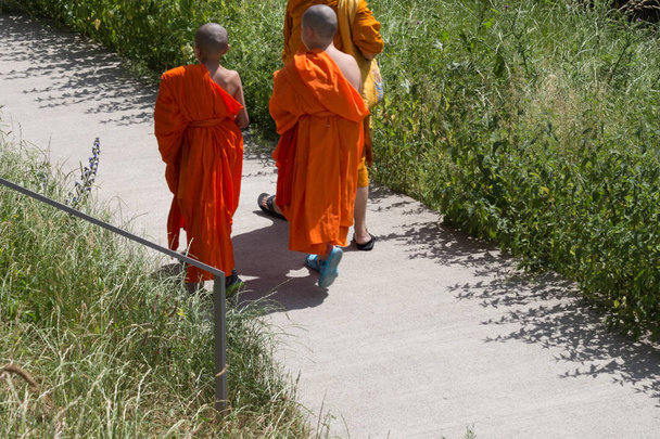 on a very sunny day in june in south germany you see single or couple of tibetan monks on a walk in green park - Photo, Image