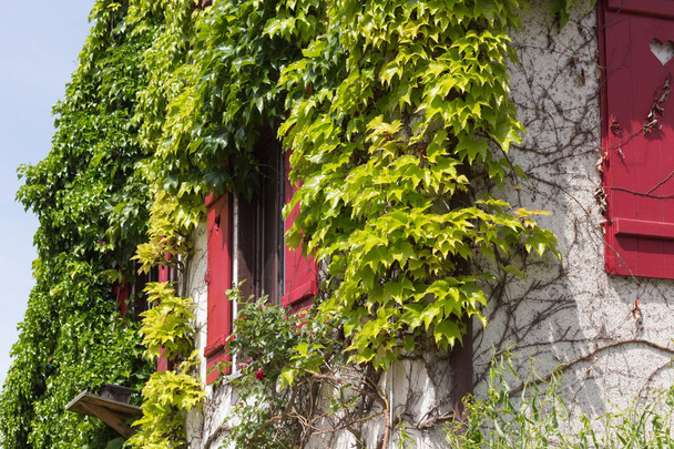 μια πολύ ηλιόλουστη ημέρα τον Ιούνιο στη νότια Γερμανία μπορείτε να δείτε λεπτομέρειες και τα χρώματα των εξοχικών σπιτιών χώρας σπίτι μπροστινές πόρτες με vintage διακόσμηση για τον κήπο όπως Ποτιστήρια και κισσός σταφυλιών - Φωτογραφία, εικόνα