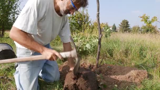 Muž pracuje na zahradě výsadba nové jabloni - Záběry, video